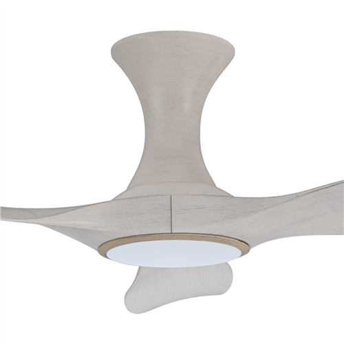 Thurman 343 NP LED (HG) - NP-HG21