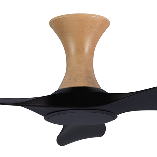 Thurman 343 BK NL (HG) - BK-HG164