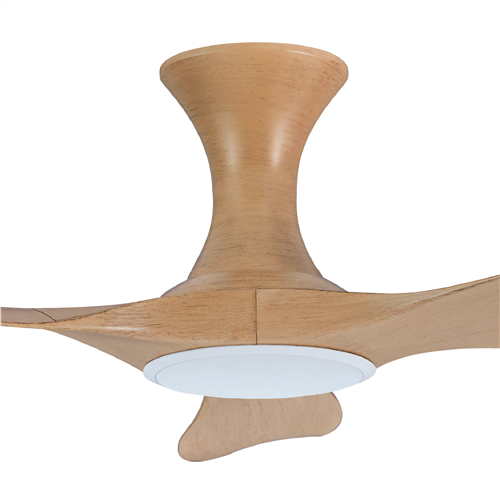 Thurman 343 HMW NL (HG)