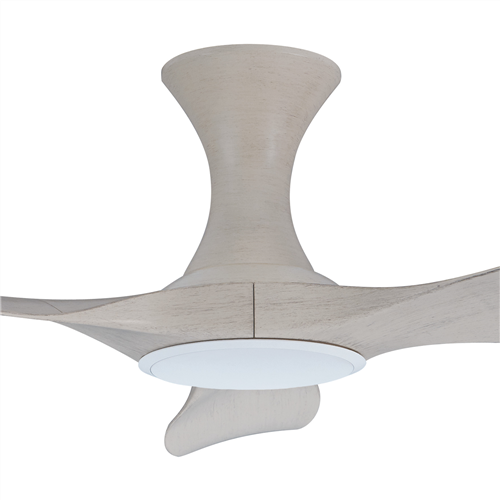 Isabel 403 NP NL (HG) - NP-HG84