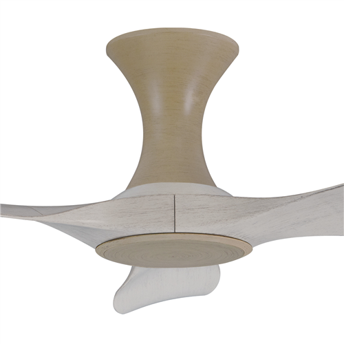 Isabel 403 NP NL (HG) - NP-HG79