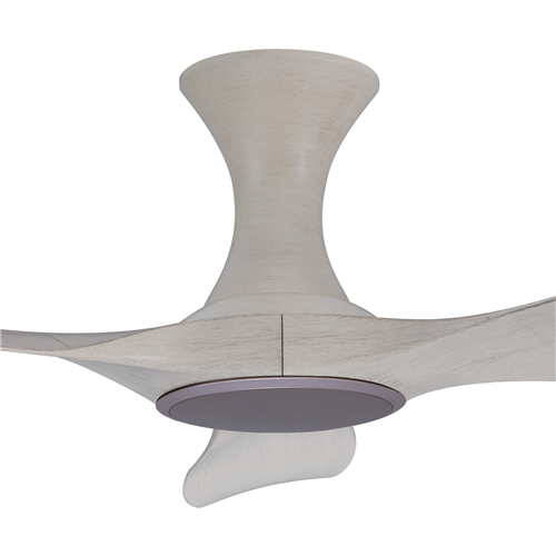 Isabel 403 NP NL (HG) - NP-HG78