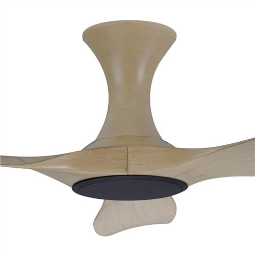 Isabel 403 MW NL (HG) - MW-HG99