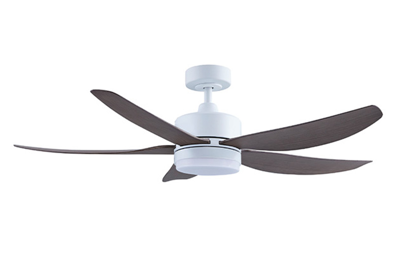 QUEEN SIZE DC552 LED