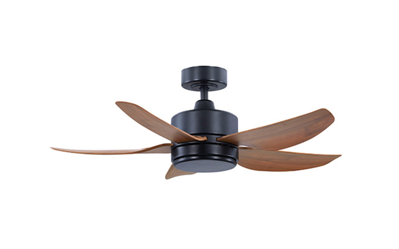 SUPER SINGLE DC542 NL