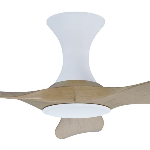 Thurman 343 MW NL (HG) - MW-HG106