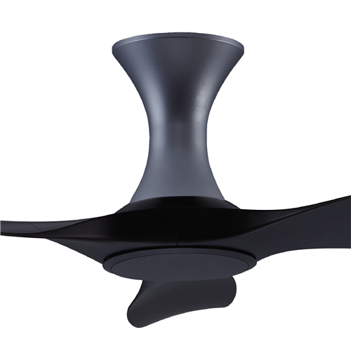 Isabel 403 BK NL (HG) - BK-HG167