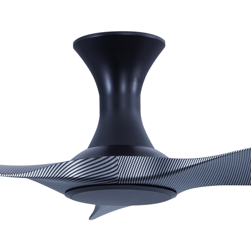 Thurman 343 BCF NL (HG)