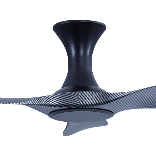 Isabel 403 BCF NL (HG)