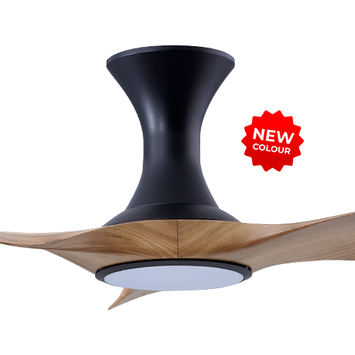 Thurman 343 BCAM LED (HG)