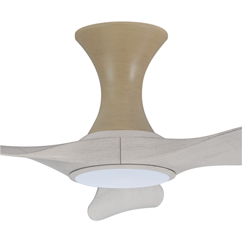 Isabel 403 NP LED (HG) - NP-HG20