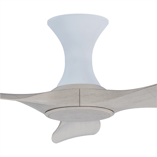 Isabel 403 NP NL (HG) - NP-HG83