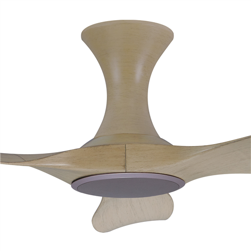 Isabel 403 MW NL (HG) - MW-HG102