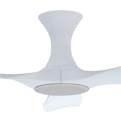 Isabel 403 WH NL (HG) - WH-HG120