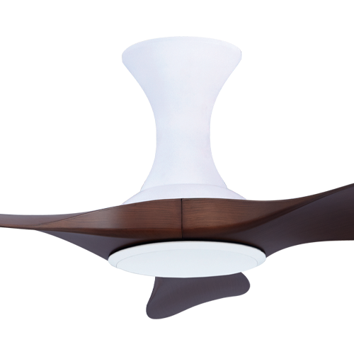 Isabel 403 WDC NL (HG)