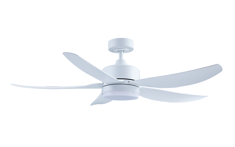 QUEEN SIZE DC552 LED