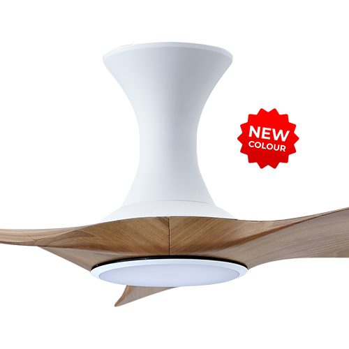 Thurman 343 WCAM LED (HG)