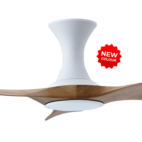 Isabel 403 WCAM NL (HG)