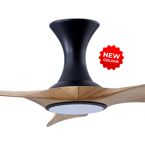 Isabel 403 BCAM LED (HG)