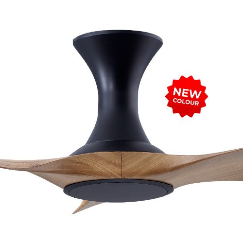 Thurman 343 BCAM NL (HG)