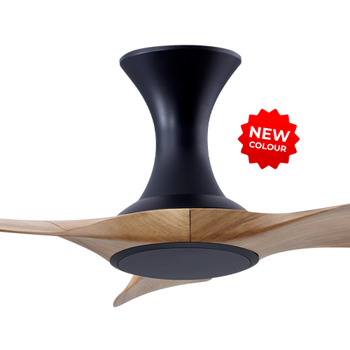 Isabel 403 BCAM NL (HG)