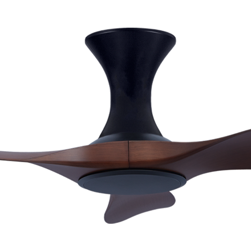 Thurman 343 BDC NL (HG)