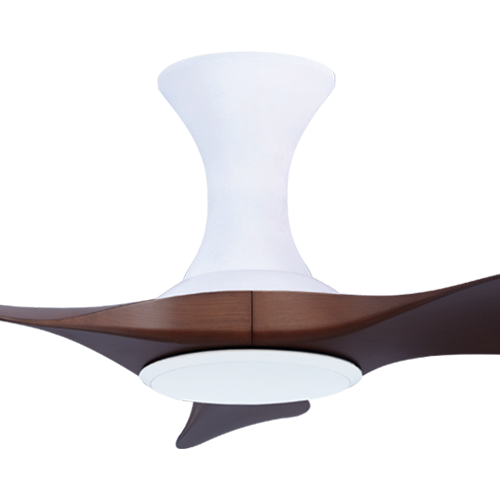 Thurman 343 WDC NL (HG)