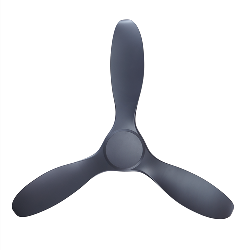 Isaac 523 NL - Matte Titanium