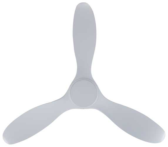 Isaac 523 NL - White