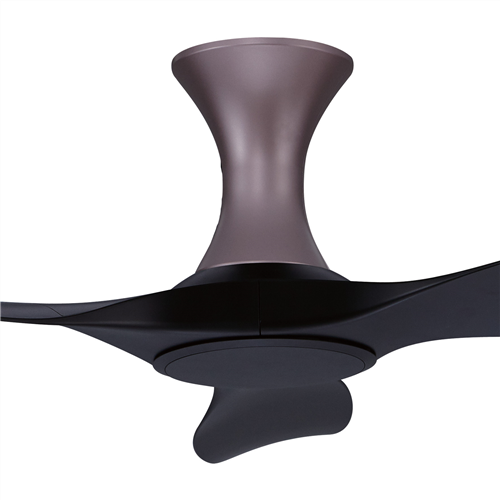 Thurman 343 BK NL (HG) - BK-HG62