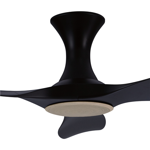 Thurman 343 BK NL (HG) - BK-HG66