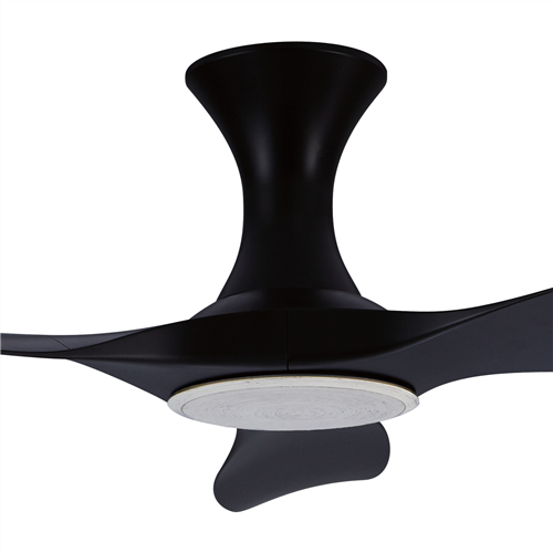 Thurman 343 BK NL (HG) - BK-HG69