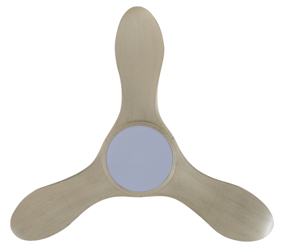 Thurman 343 LED - Maple Wood