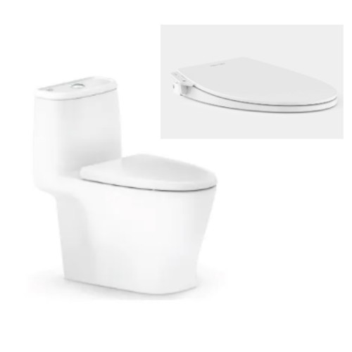 American Standard Loven OP Concealed Toilet