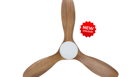 21032025_10109_PM_523-NL-WCAM-1_prod