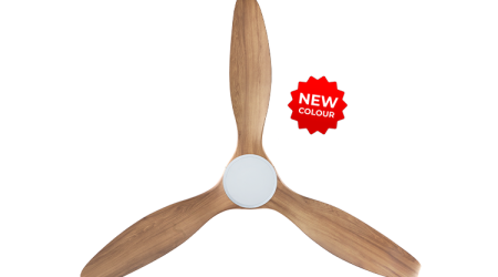 21032025_10348_PM_603-NL-WCAM-1_prod