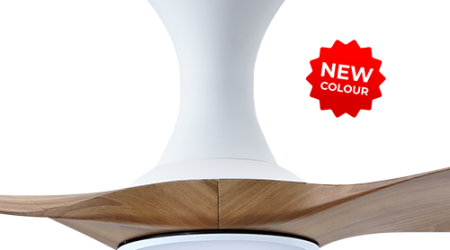 21032025_10721_PM_343-LED-WCAM-HG-1_prod