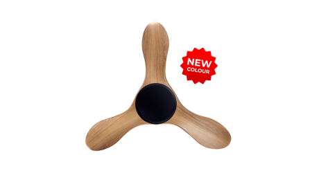 21032025_120843_PM_343-NL-BCAM-1_prod