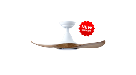 21032025_125334_PM_343-LED-WCAM-1_prod