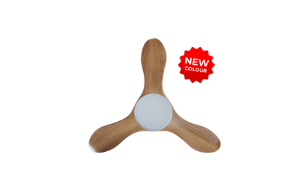 21032025_125424_PM_343-NL-WCAM-1_prod