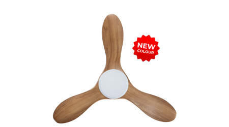 21032025_125603_PM_403-NL-WCAM-1_prod