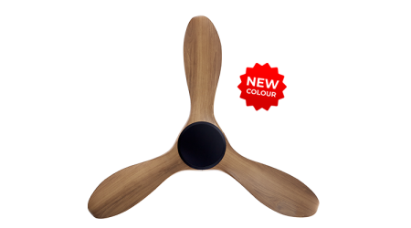 22012025_45852_PM_463-NL-BCAM-1_prod