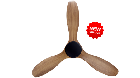 22012025_50146_PM_523-NL-BCAM-1_prod