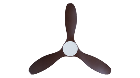 26042024_21948_PM_523-WDC-NL-3_prod