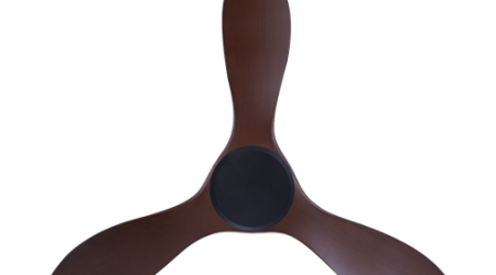 27022020_42536_PM_463-NL-4-BDC_prod