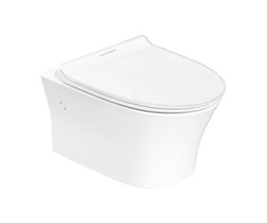 American Standard Signature Wall Hung Toilet